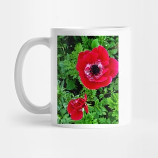 Delicate red and white anenome Mug